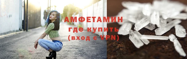 индика Магас