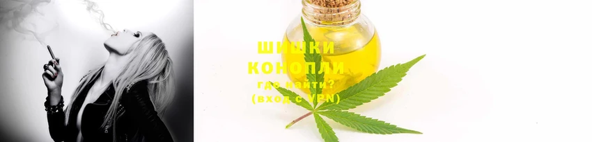 индика Магас