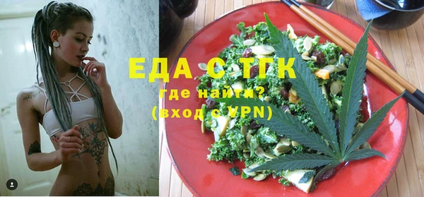 индика Магас