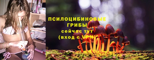 apvp Майский