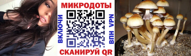 Псилоцибиновые грибы Cubensis  купить наркотики сайты  Сысерть 